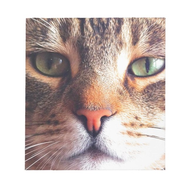 Bloco De Notas Face de Gato (Frente)