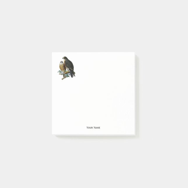 Bloco De Notas Falcões Estilizados Vintage na Ramificação (Frente)