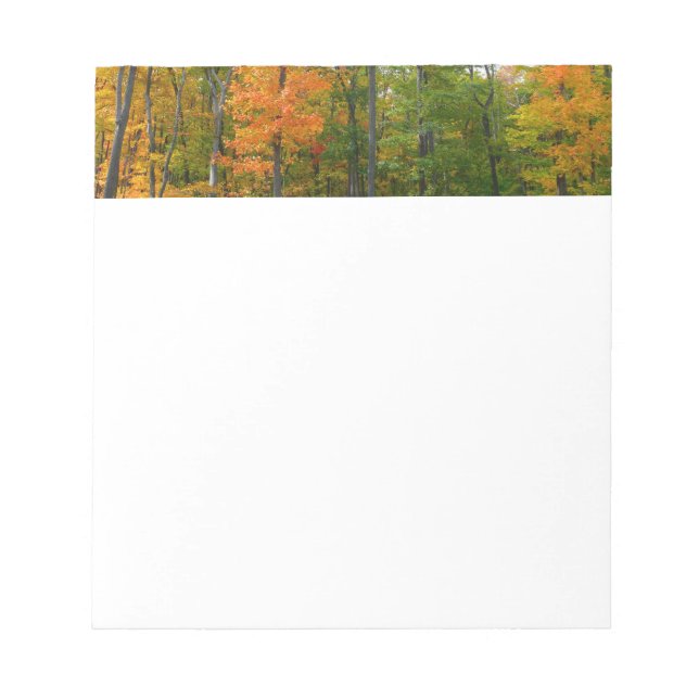 Bloco De Notas Fall Maple Trees Autumn Nature Fotografia (Frente)