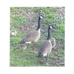 Bloco De Notas Família Geese Canadense