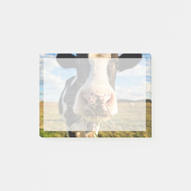 Bloco De Notas Farms | Holstein Cow Chewing (Frente)