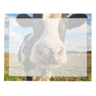 Bloco De Notas Fazendas Mastigação De Vaca Holstein