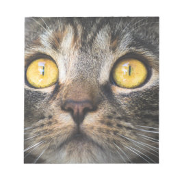 Bloco De Notas Fechamento de Gato com Olhos Amarelos