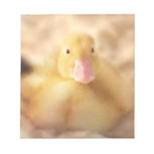 Bloco De Notas Felpudo Páscoa de Pato Amarelo