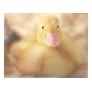 Bloco De Notas Felpudo Páscoa de Pato Amarelo