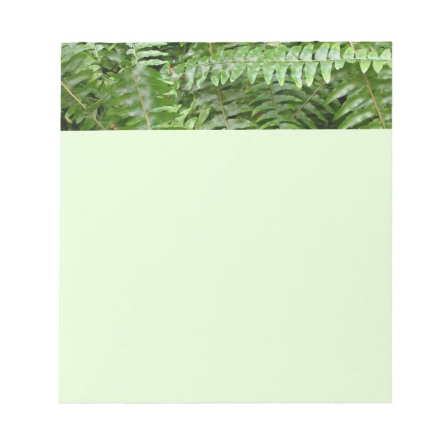 Bloco De Notas Fern Frontes I Green Nature (Frente)