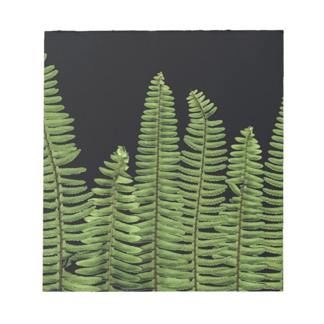 Bloco De Notas Fern Row (Frente)