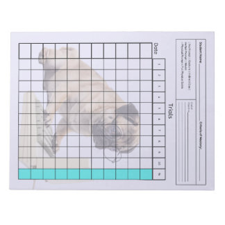 Bloco De Notas Ferramenta SpEd Essencial: Folha de Dados do Vazio