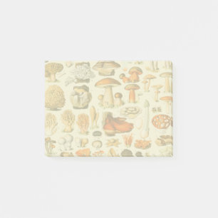 Bloco De Notas Ferramentas de Vintagem de Cogumelo Arte Botânica