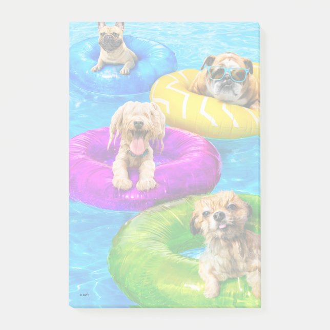 Bloco De Notas Festa da Piscina do Cachorro (Frente)
