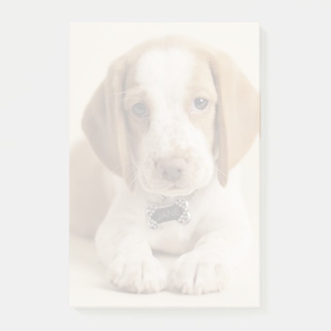 Bloco De Notas Filhote de cachorro do lebreiro (Frente)