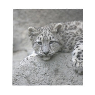 Bloco De Notas Filhote de leopardo-da-neve de 4 meses de idade es