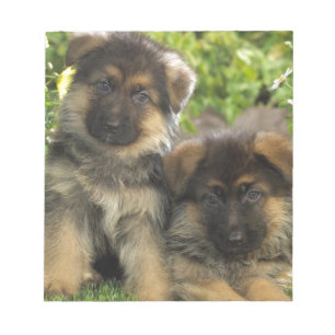 Bloco De Notas Filhotes de cachorro do german shepherd
