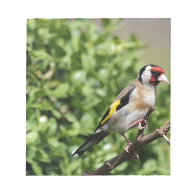 Bloco De Notas FInch (Frente)