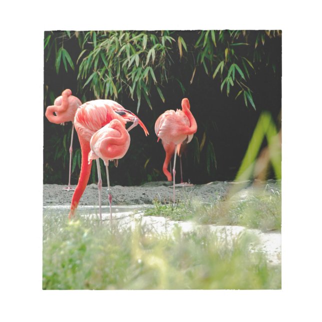 Bloco De Notas flamingo (Frente)