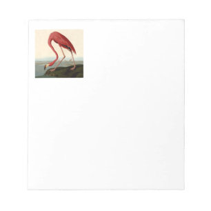 Bloco De Notas Flamingo Americano de Audubon