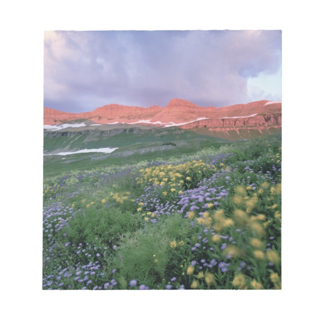 Bloco De Notas Fleabane púrpura (erigeron peregrinus) e amarelo (Frente)