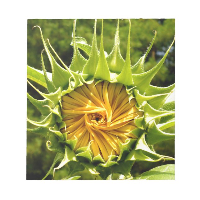 Bloco De Notas Flor amarelo divertido Sunflower (Frente)