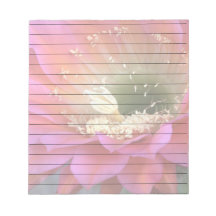 Flor de cacto rosa no deserto