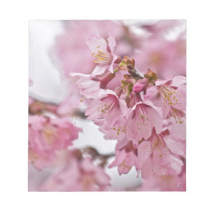 Bloco De Notas Flor de Cerejeira Sakura Rosa Pálido