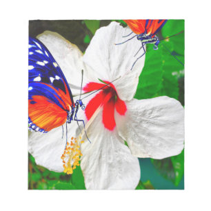 Bloco De Notas Flor de Hibiscus com 2 borboletas de Tigre