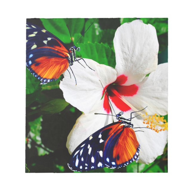 Bloco De Notas Flor de Hibiscus com 2 borboletas de Tigre (Frente)