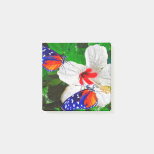 Bloco De Notas Flor de Hibiscus com Tiger Longwing - Notas de Pos
