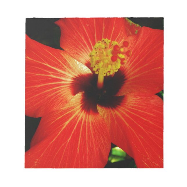 Bloco De Notas Flor de Hibiscus Vermelho Brilhante (Frente)