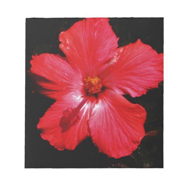 Bloco De Notas Flor de Hibiscus Vermelho Rosa-Quente a Preto (Frente)