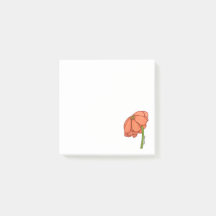 Flor de Laranja