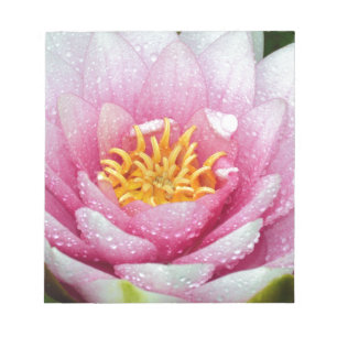 Bloco De Notas Flor de lírio de água PInk