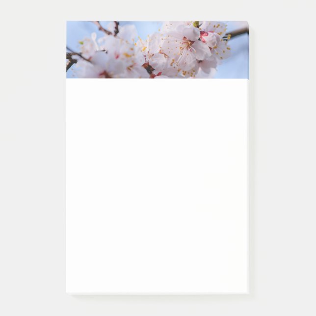 Bloco De Notas Flor de Ume Japonês (Frente)