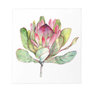 Bloco De Notas Flor do Protea