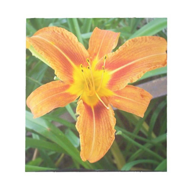 Bloco De Notas Flor Laranja (Frente)