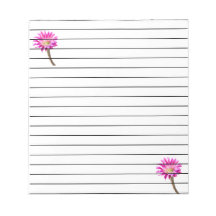 Flor rosa do cacto Piazza em flor