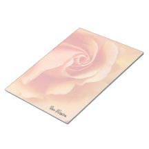 Flor rosa / Pêssego Apricot / Foto de fechamento