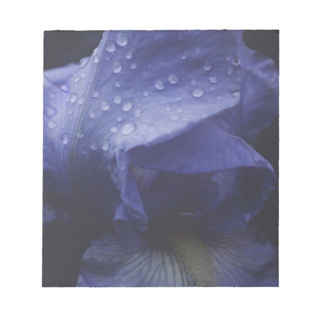 Bloco De Notas Flor Rosa púrpura (Frente)