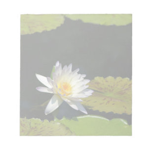 Bloco De Notas Flor Waterlily White Lotus