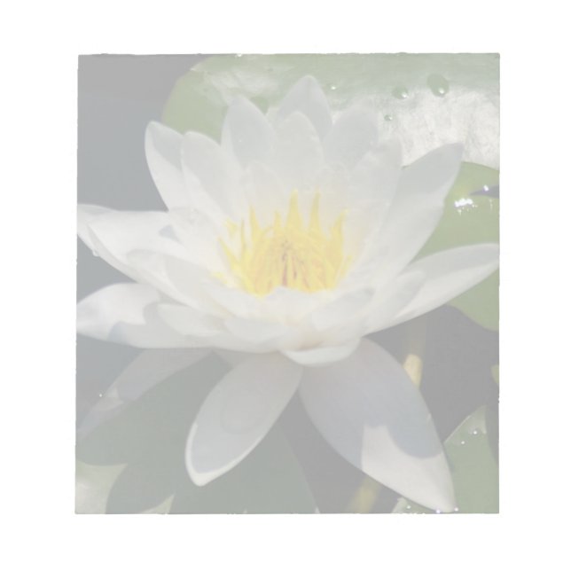 Bloco De Notas Flor Waterllly do Lotus Branco (Frente)