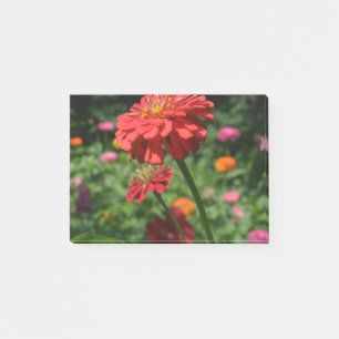Bloco De Notas floral de margarida vermelha, jardim de flores ver
