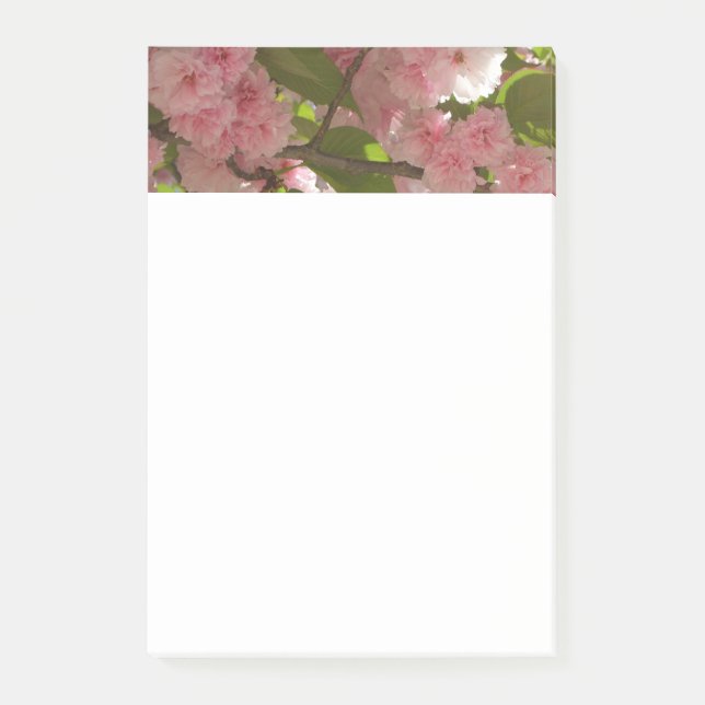 Bloco De Notas Floral Primavera da Árvore III da Cherry com duas  (Frente)