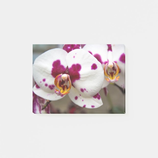 Bloco De Notas Flores (Frente)