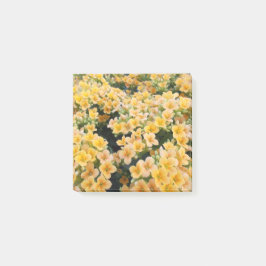 Bloco De Notas Flores Amarelas