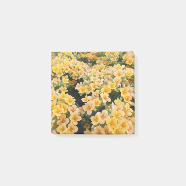 Bloco De Notas Flores Amarelas (Frente)