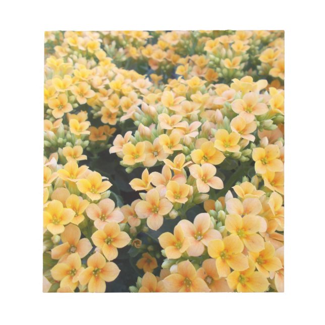 Bloco De Notas Flores Amarelas (Frente)