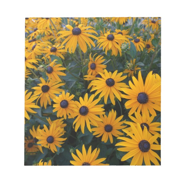 Bloco De Notas Flores amarelas de margarida de jardim. (Frente)