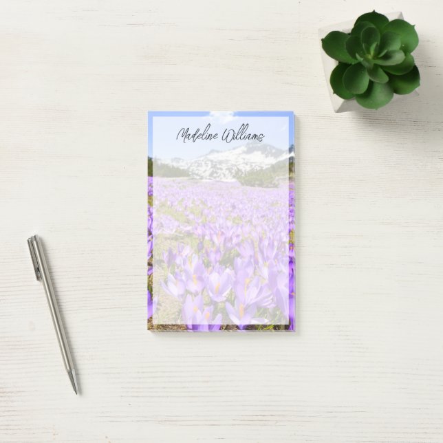 Bloco De Notas Flores | Crocus Pirin Mountain Park Bulgária (Escritótio)