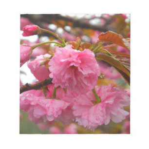 Bloco De Notas Flores da flor de cerejeira do rosa quente