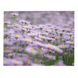 Bloco De Notas Flores de Aster Roxo