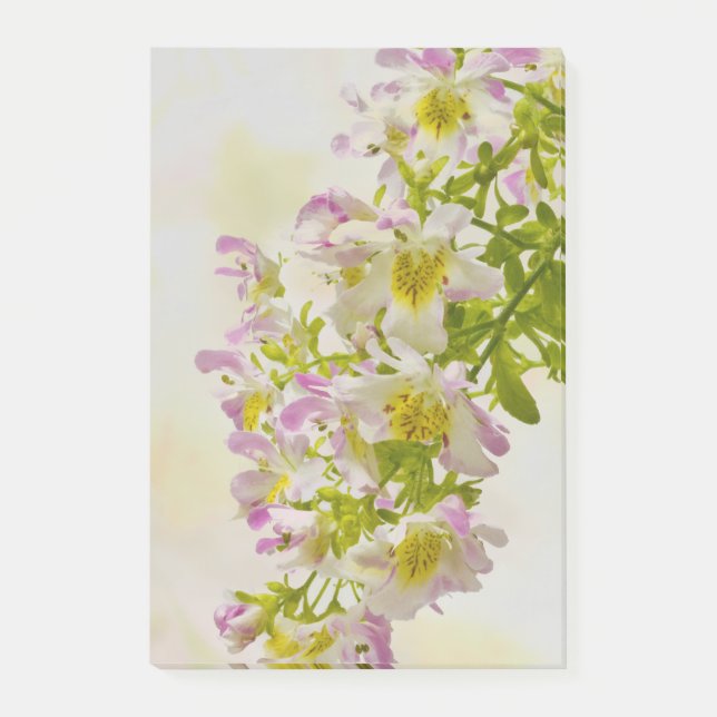 Bloco De Notas Flores de borboletas (Frente)